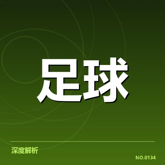 法兰克福足球赛事中的球迷表现细节